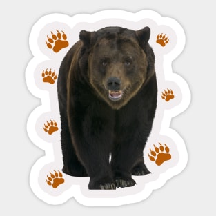 Big Ben, the big brown bear Sticker